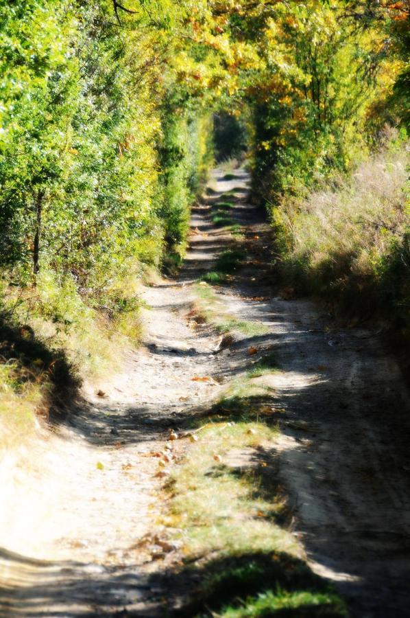Sady Blotnica Dom Goscinny Prusy  Bagian luar foto